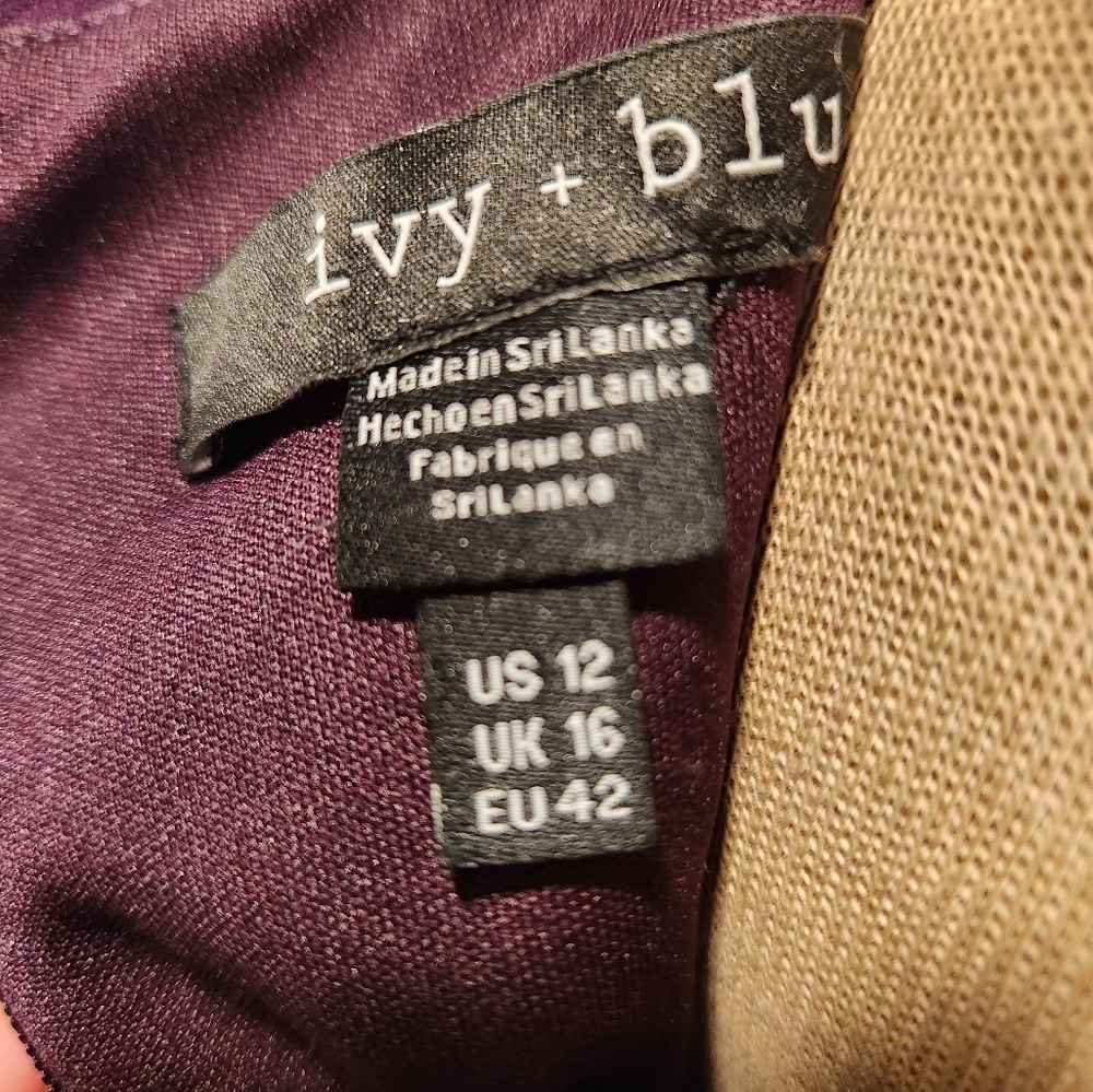 Ivy and Blu dress size 12